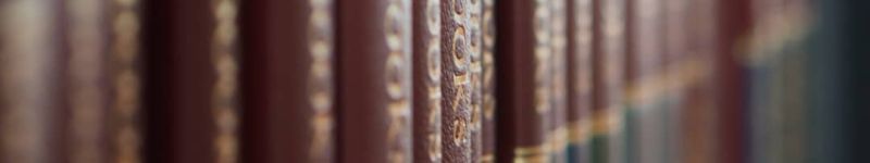 Photo by Dávid L. Palatinus